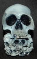 multi skull