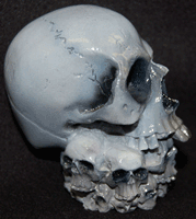 multi skull