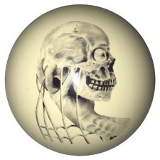 skull in hand shift knob